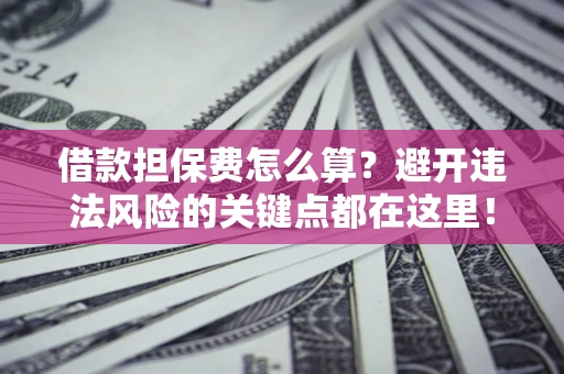 济南借款担保费怎么算？避开违法风险的关键点都在这里！