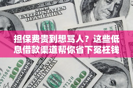 济南担保费贵到想骂人？这些低息借款渠道帮你省下冤枉钱