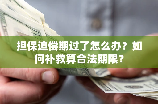 济南担保追偿期过了怎么办？如何补救算合法期限？