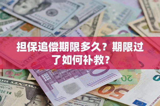 济南担保追偿期限多久？期限过了如何补救？