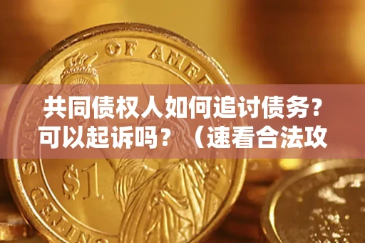 济南共同债权人如何追讨债务？可以起诉吗？（速看合法攻略）