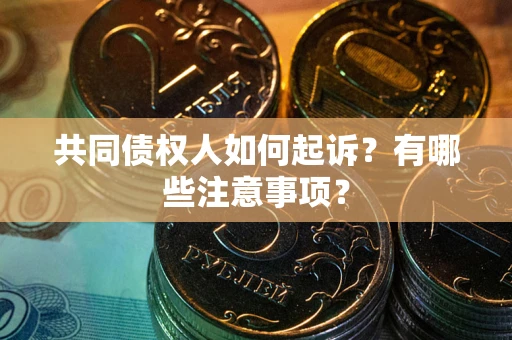 济南共同债权人如何起诉？有哪些注意事项？