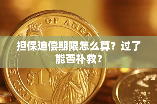 济南担保追偿期限怎么算？过了能否补救？